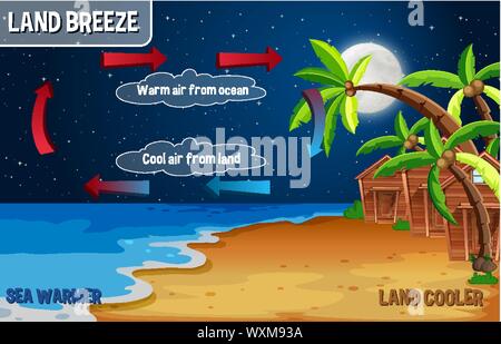 Diagram showing circulation of sea breeze illustration Stock Vector ...