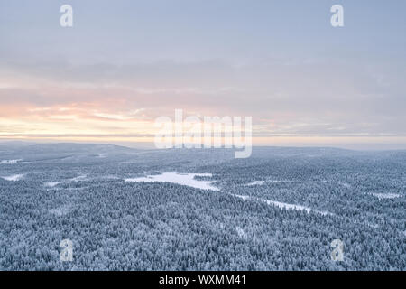 Aerial view of taiga forest in Pyhä-Luosto National Park during sunset in winter. Stock Photo