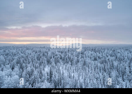 Aerial view of boreal forest in Pyhä-Luosto National Park during sunset in winter. Stock Photo