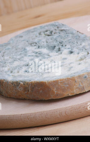 one slice mouldy bread on a timber board Stock Photo