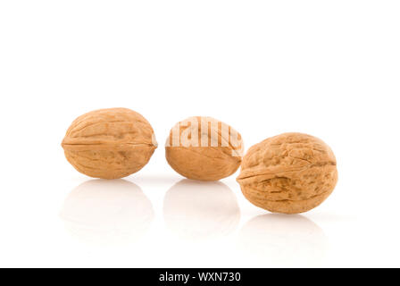 three walnuts on a white background Stock Photo