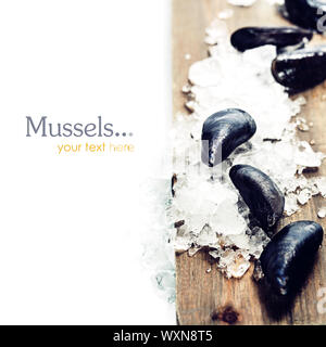 Fresh  mussels ready for cooking on ice (with easy removable sample text) Stock Photo
