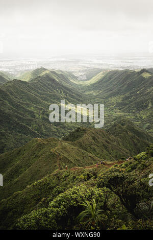 Mountain top views in Oahu. Dirt trail on ridgeline looking back down the valley towards the start of the Moanalua Valley Trail. Stock Photo