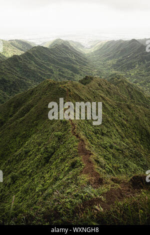 Mountain top views in Oahu. Dirt trail on ridgeline looking back down the valley towards the start of the Moanalua Valley Trail. Stock Photo