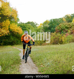 Cyclist Riding the Bike on the Trail in the Beautiful Autumn Forest Stock Photo
