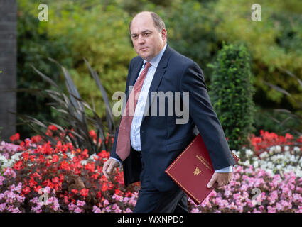 Downing Street, London, UK. 17th September 2019. Ben Wallace MP, Secretary of State for Defence in Downing Street. Credit: Malcolm Park/Alamy Live News. Stock Photo