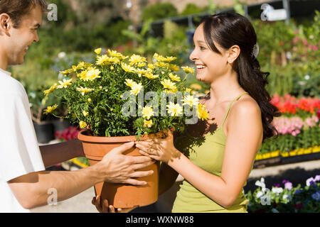 Smiling Couple Shopping for Large Potted Plant Stock Photo