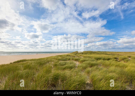 Dunes and beach landscape at the North Sea island of Rømø, Denmark Stock Photo