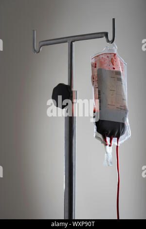 Drip bag with blood on stand, against white background Stock Photo