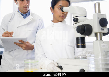 Female scientist adjusting microscope with male colleague noting down in laboratory Stock Photo