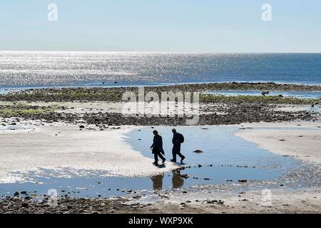 Charmouth, Dorset, UK. 17th Sep, 2019. UK Weather. Visitors on the beach at Charmouth in Dorset enjoying the warm autumn sunshine and clear blue skies. Picture Credit: Graham Hunt/Alamy Live News Stock Photo