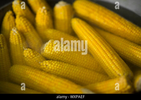 Tasty and freshly cooked corn in big bowl outdoor for sale Stock Photo