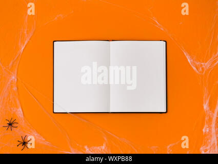 Notepad at orange background with spiders and web Stock Photo