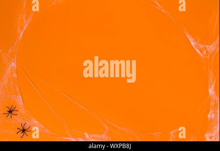 Creative orange background with spiders and web. Stock Photo