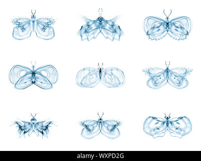 Fractal Butterflies series. Interplay of isolated fractal butterflies on the subject of science, creativity and design Stock Photo