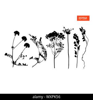 Set black silhouettes of wild flowers and leaves vector illustration Stock Vector