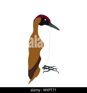 Sitting brown woodpecker isolated on white background. Stock vector Stock Vector