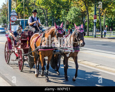 Horse-drawn carriage (fiaker) carrying tourists around the Ringstrasse ring road, Vienna, Austria. Stock Photo