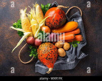 Various autumn vegetables. Harvest concept Stock Photo