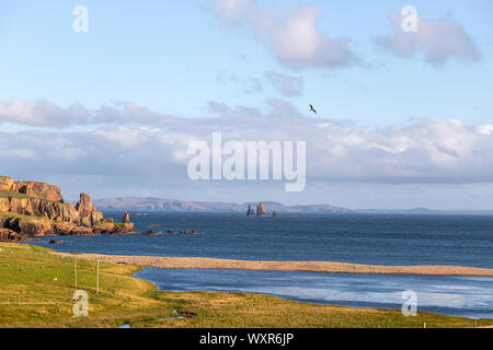 Braewick Beach & Da Drongs,  Da Drongs are a collection of spectacular granite stacks in St Magnus Bay, Mainland, Shetland islands, Scotland, UK Stock Photo