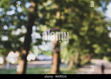 Coloured translucent soap bubble floating outdoors in the air on sunny evening with trees and sky in the background. Nature background. Stock Photo