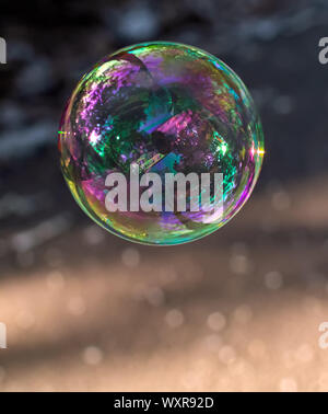 Coloured translucent soap bubble floating in the air with reflection of trees, sky and building on sunny evening. Stock Photo