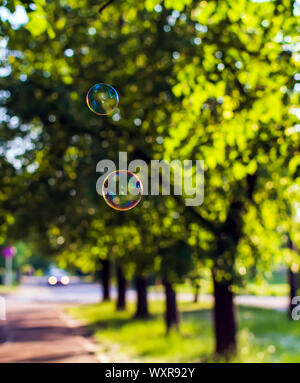 Two coloured translucent soap bubbles floating outdoors in the air on sunny evening with trees and car in the background. Stock Photo