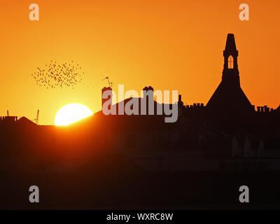 Sheerness, Kent, UK. 17th September, 2019. UK Weather: this evening's sunset in Sheerness, Kent as starlings murmurate in the September sky. Credit: James Bell/Alamy Live News Stock Photo