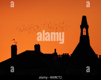 Sheerness, Kent, UK. 17th September, 2019. UK Weather: this evening's sunset in Sheerness, Kent as starlings murmurate in the September sky. Credit: James Bell/Alamy Live News Stock Photo