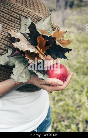 Beautiful female hands holding a red apple and a bouquet of autumn maple leaves. Vertical shot Stock Photo