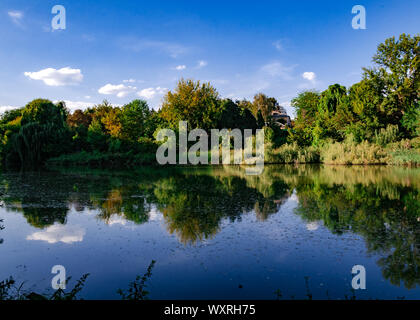 beautiful autumn landscape - yellow, red, green trees on the banks of a reservoir in the park
