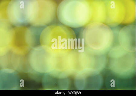 colorful bokeh background. background and texture concept. Stock Photo