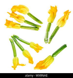 Levitation courgette flowers isolated on white background Stock Photo