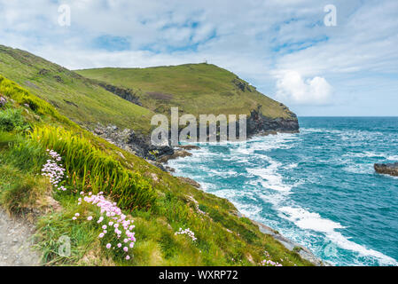 South West Coast Path from Boscastle towards Willapark Lookout in the distance, North Cornwall, England, UK.