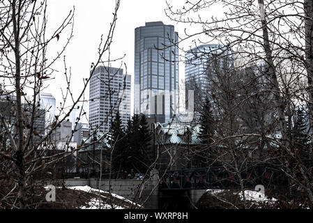 View of Calgary Downtown from Eau Claire market Stock Photo