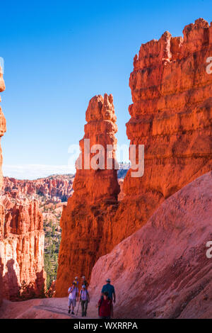 Hoo-doos and rock formations are formed in the sandstone from erosion over the centuries and comprise the colorful view at Bryce Canyon National Park. Stock Photo