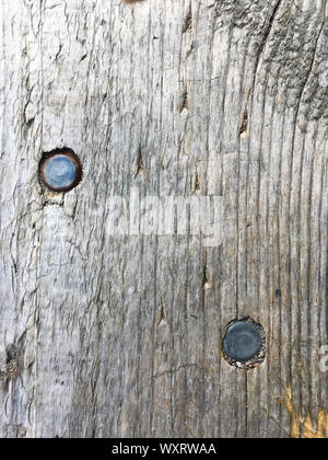 Old wooden board with nails. Wood texture. Close-up. Stock Photo