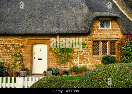 Historic thatched roof cottage in Great Tew village with sculpted hedgerows at gate and potted plants at yellow cotswold stone wall Oxfordshire Englan Stock Photo