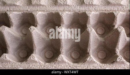 Empty egg box Stock Photo