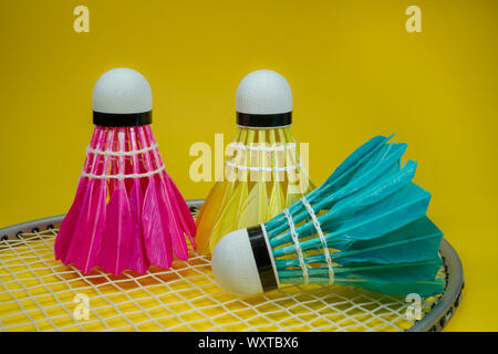 Colorful feathered shuttlecocks in blue, yellow and pink and badminton rackets in a close up view Stock Photo