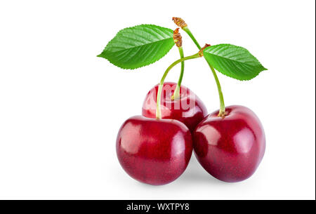 Cherry isolated on white background with leafs Stock Photo