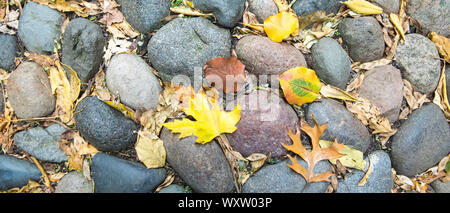 Autumn leaves on cobblestones of Beacon Hill in the historic district of the city of Boston, Massachusetts, USA during the Fall. Stock Photo