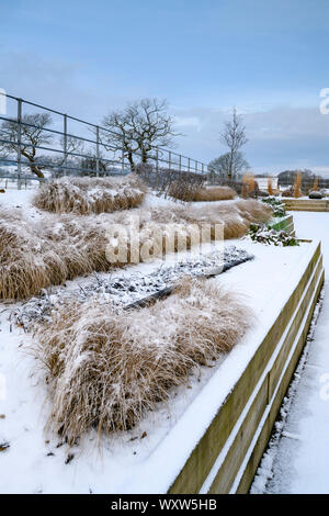 Stylish, contemporary design, landscaping & planting on wooden raised beds (grasses in lines) - snow covered winter garden, Yorkshire, England, UK. Stock Photo