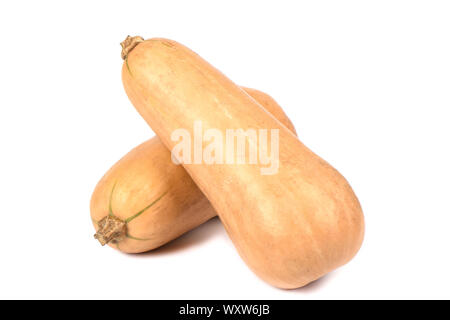 Two small ripe pumpkins isolated over a white background. Baby Pumpkins. Close up. Copy space. Stock Photo