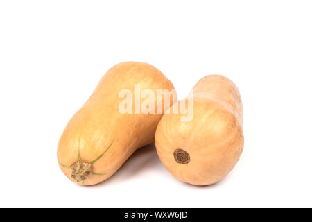 Two small ripe pumpkins isolated over a white background. Baby Pumpkins. Close up. Copy space. Stock Photo