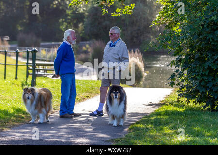 Northampton, UK, Weather. 18th September 2019. Abington Park. Bright sunshine with cooler temperatures this morning, a couple of male dog walkers having a chat standing in the shade while their dog, Border Collies wait patiently near by to continue there walk.  Credit: Keith J Smith./Alamy Live News Stock Photo