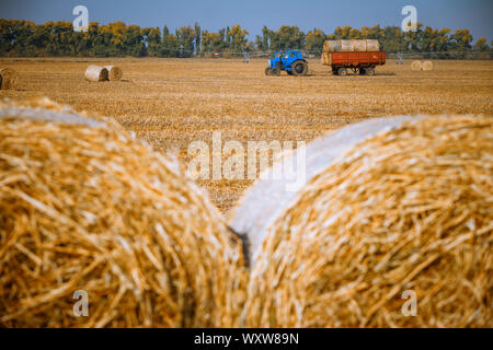 Hay bail harvesting in wonderful autumn farmers field landscape with hay stacks Stock Photo