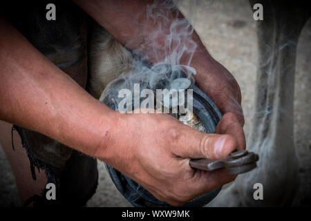 Hand shots of a farrier in the process of applying a new shoe to a horse Stock Photo