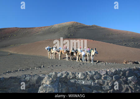 Caravan of tourists doing a ride in the volcanic dunes. Stock Photo