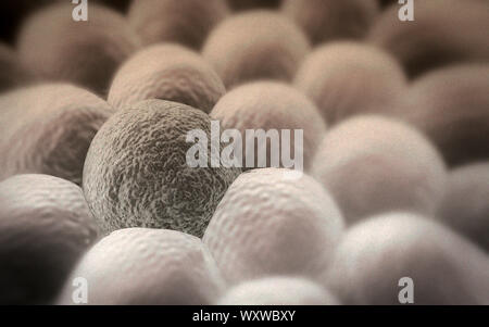 Microscopic image of cancer cells, 3d rendering, division of cancer cell Stock Photo